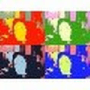 Meet your Posher, Michelle